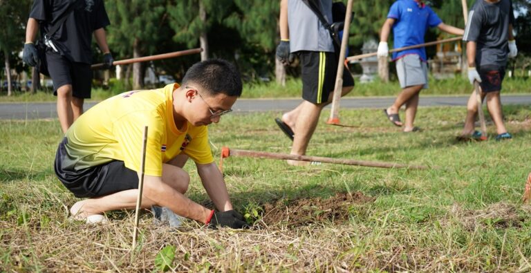 The Volunteer Project “United Hearts Under One Tree.”