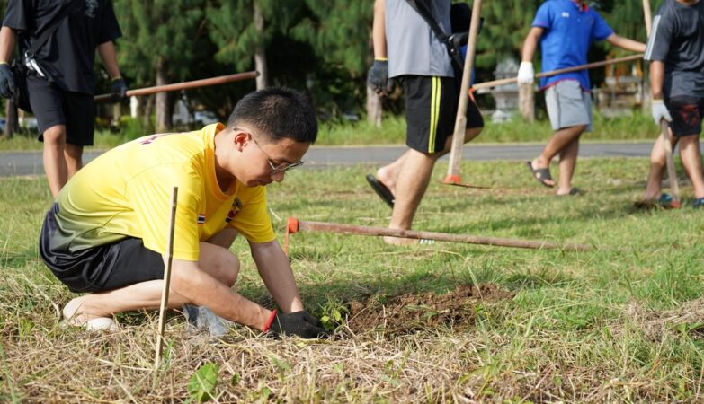 The Volunteer Project “United Hearts Under One Tree.”