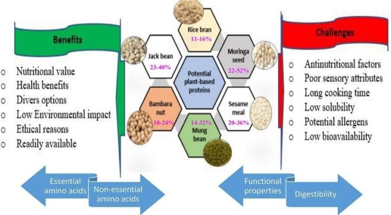 Plant-Based Proteins: Nourishing People, Sustaining the Planet