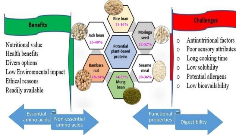 Plant-Based Proteins: Nourishing People, Sustaining the Planet