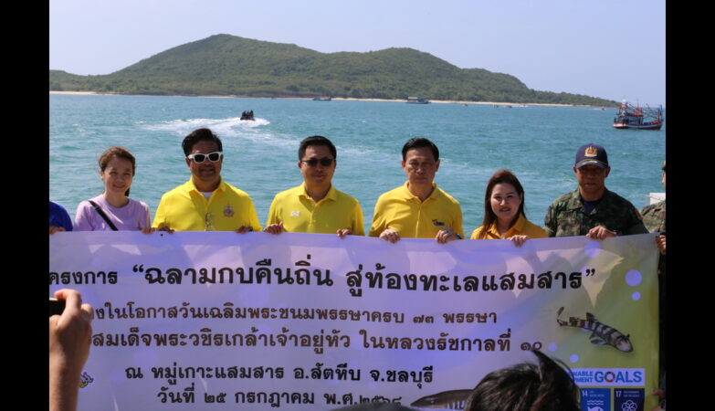 Bamboo Shark Release at Samaesan Sea in Honor of His Majesty the King’s 73rd Birthday
