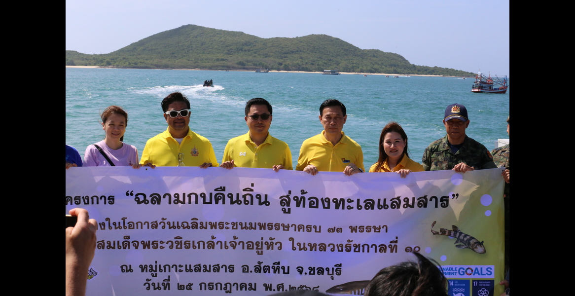 Bamboo Shark Release at Samaesan Sea in Honor of His Majesty the King’s 73rd Birthday