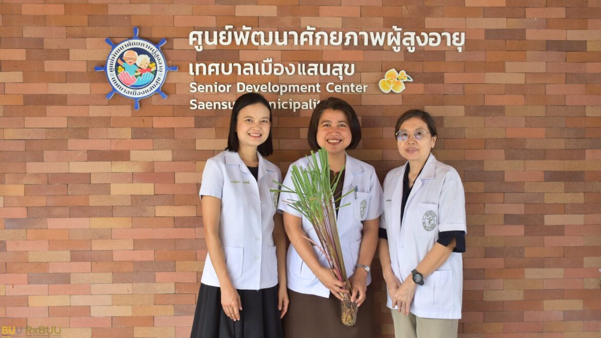 Community Health Promotion and Rational Medicine Use Project for Village Health Volunteers (VHVs), Fiscal Year 2026: Herbal Products and the Appropriate Use of Herbal Medicines
