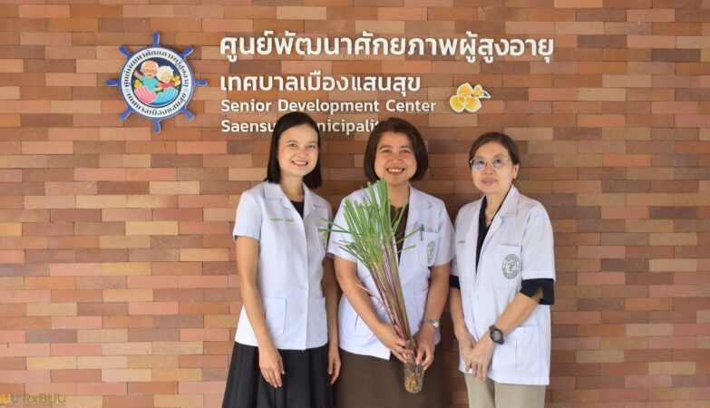 Community Health Promotion and Rational Medicine Use Project for Village Health Volunteers (VHVs), Fiscal Year 2026: Herbal Products and the Appropriate Use of Herbal Medicines