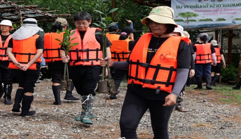 Mangrove Reforestation Project for a Sustainable Environment