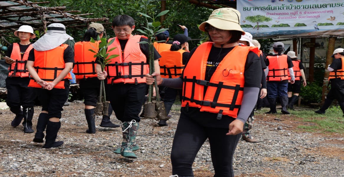 Mangrove Reforestation Project for a Sustainable Environment