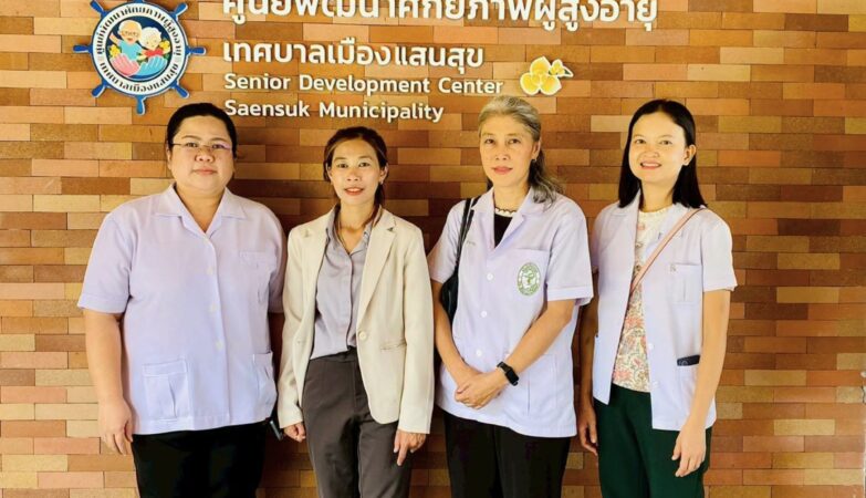 Community Health Promotion and Rational Medicine Use Project for Village Health Volunteers (VHVs), Fiscal Year 2026: Rational Use of Medicines